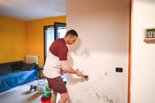 Best Mold Testing and Inspection Services in Jamesport, NY